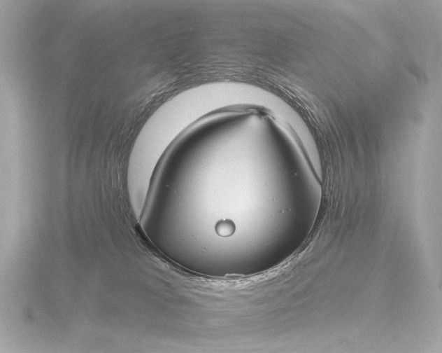 X0000116450037200912221553