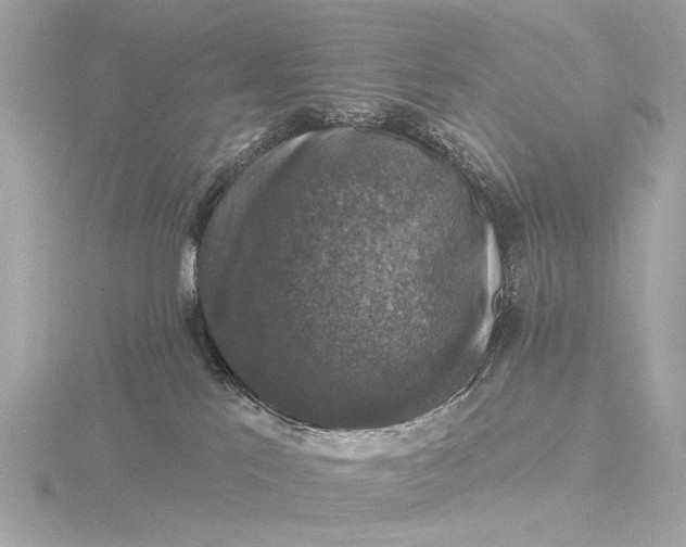 X0000116450041200912221553