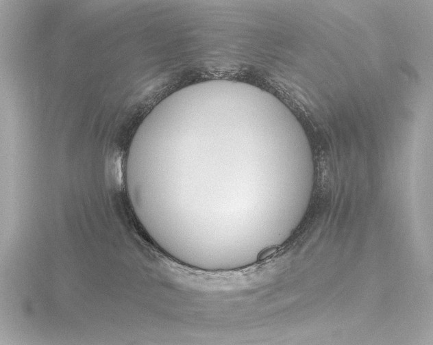 X0000116450042200912221553