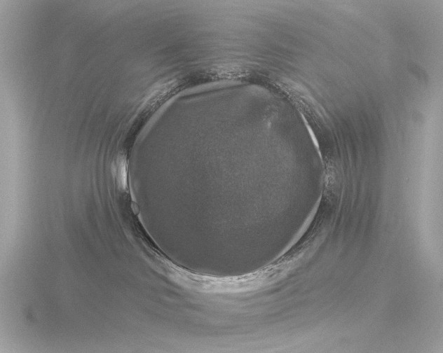 X0000116450046200912221553