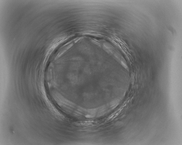 X0000116450049200912221552