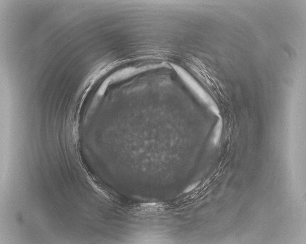 X0000116450050200912221552