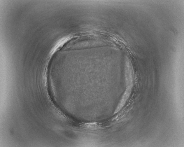 X0000116450054200912221552