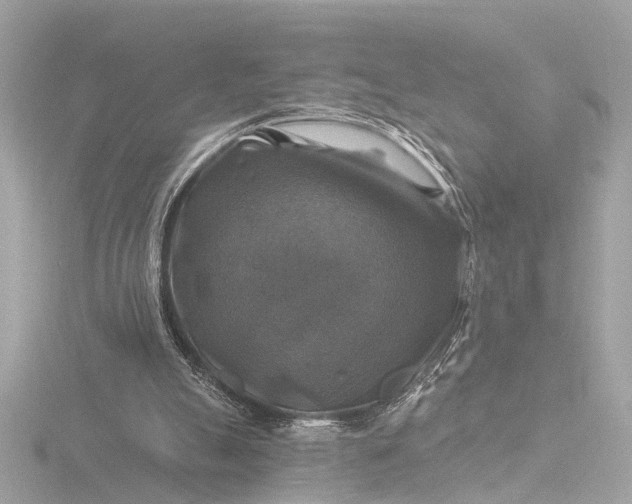 X0000116450055200912221552