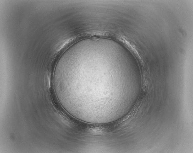 X0000116450062200912221552