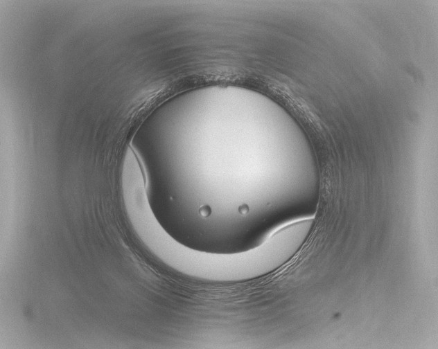 X0000116450070200912221552