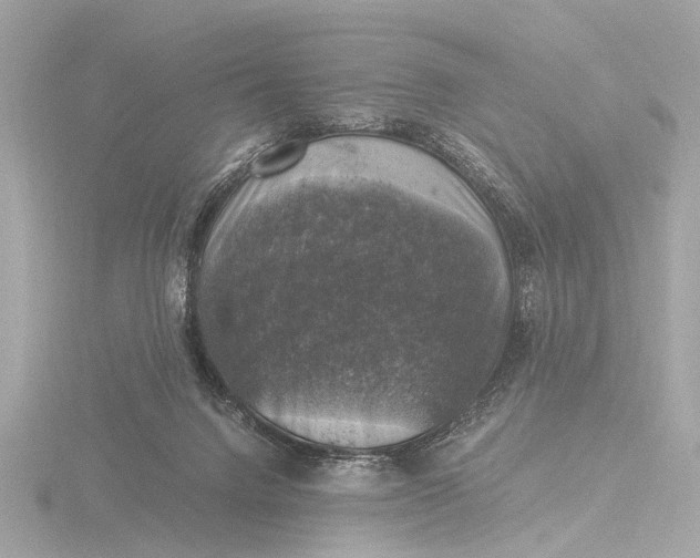 X0000116450072200912221552