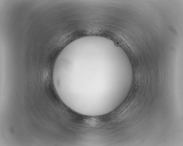 X0000116450079200912221552