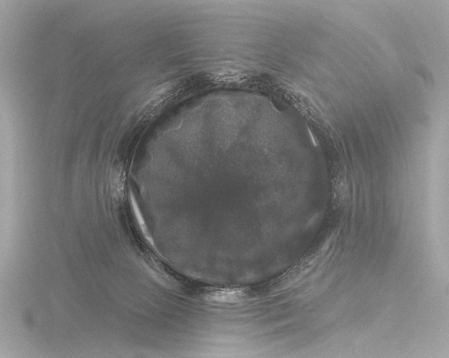 X0000116450081200912221552