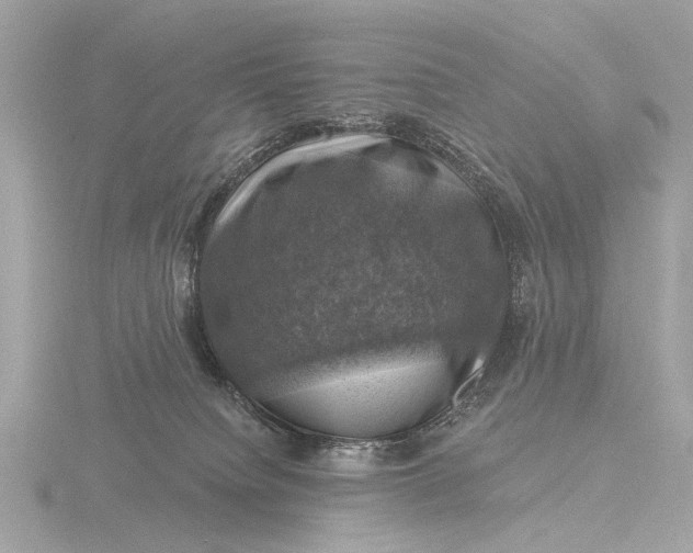 X0000116450084200912221552
