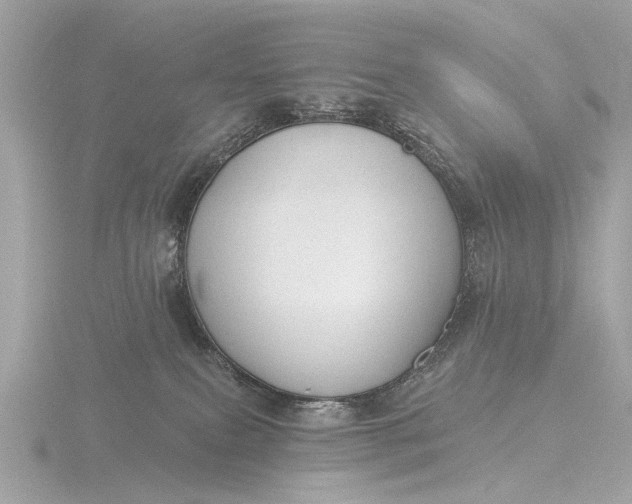 X0000116450087200912221552