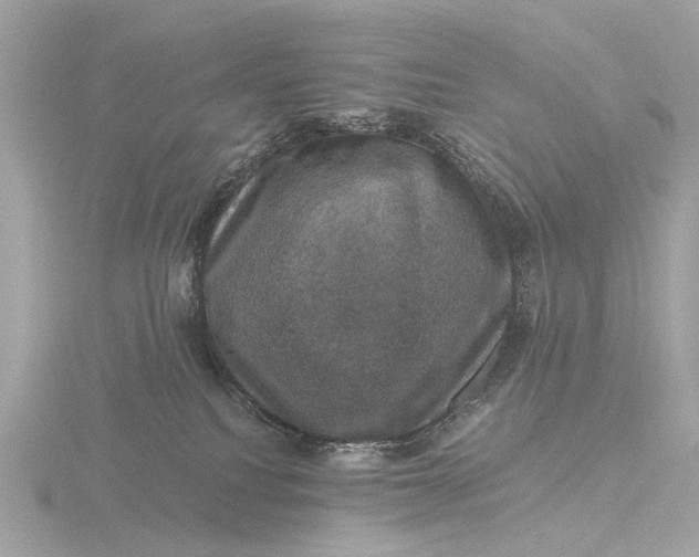 X0000116450088200912221552