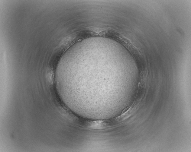 X0000116450090200912221552