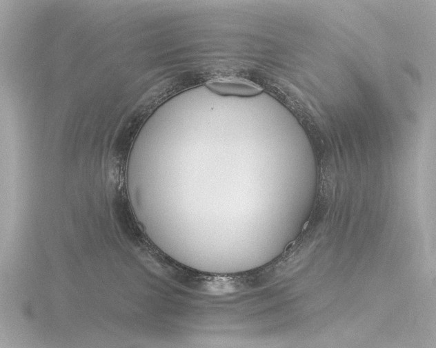 X0000116450091200912221552
