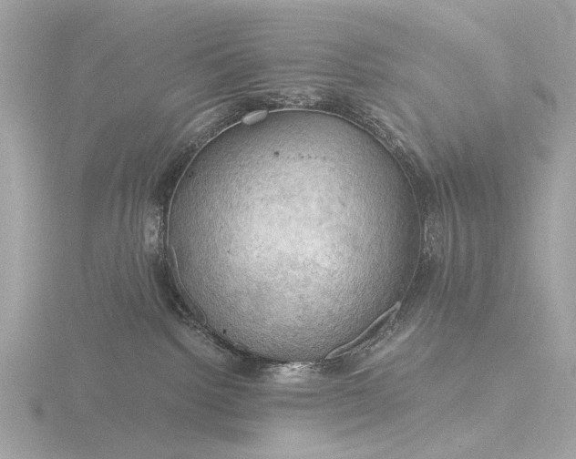 X0000116450092200912221552