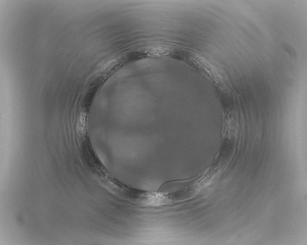 X0000116450093200912221552