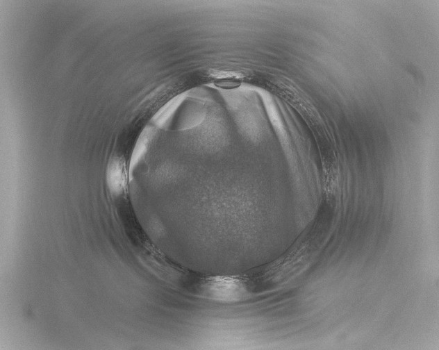 X0000116450095200912221552