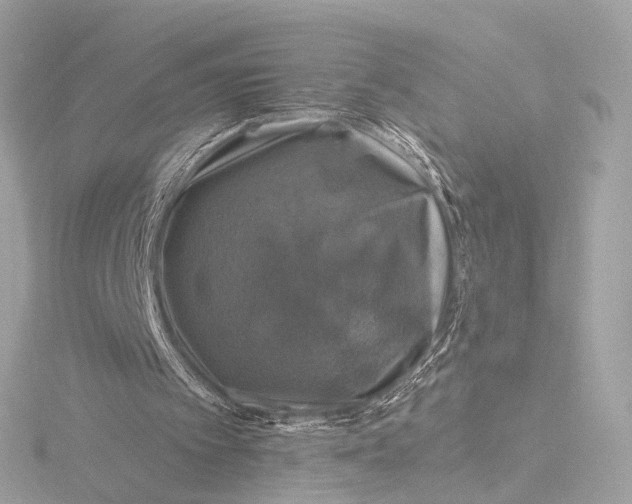 X0000116450097200912221552