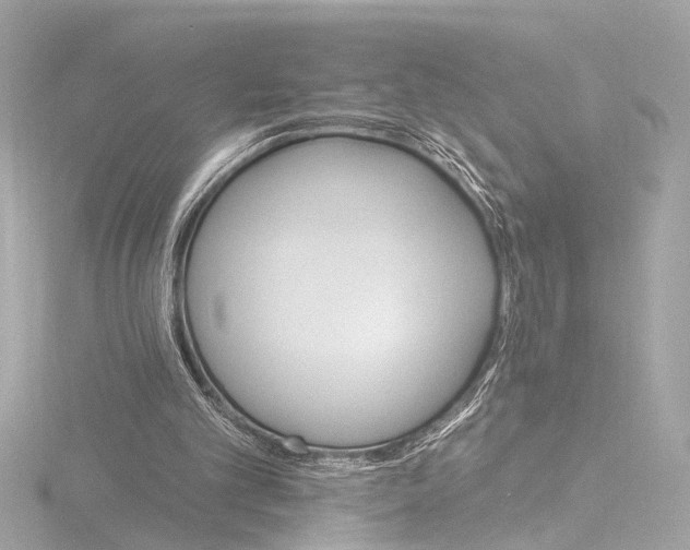 X0000116450101200912221552