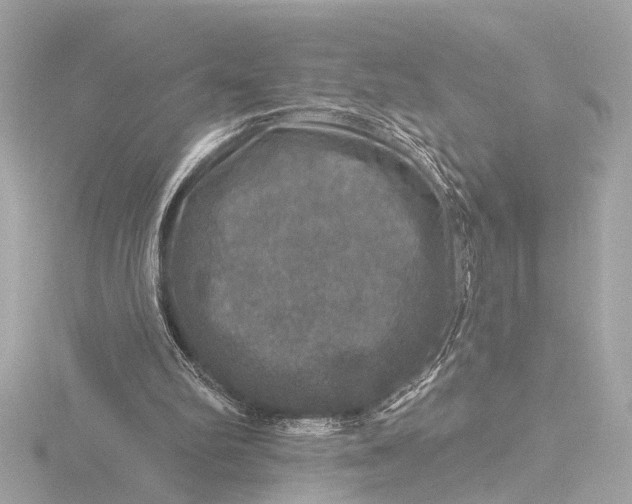 X0000116450102200912221552