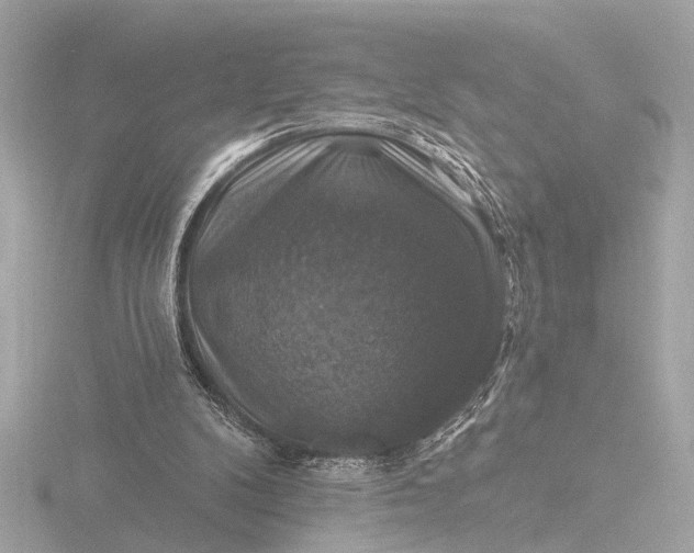 X0000116450104200912221552