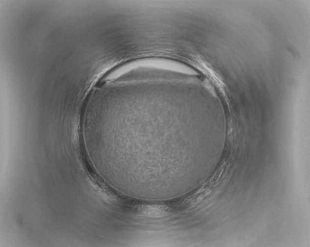 X0000116450107200912221552