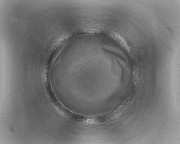 X0000116450114200912221552