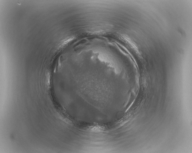 X0000116450115200912221552