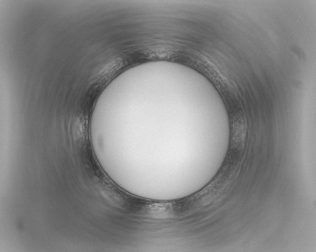 X0000116450126200912221552