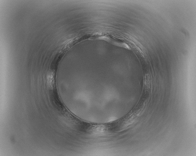 X0000116450127200912221551