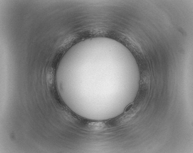 X0000116450133200912221551