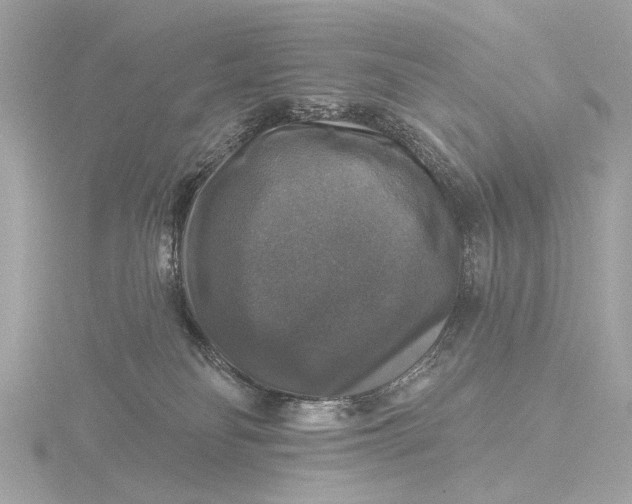 X0000116450134200912221551