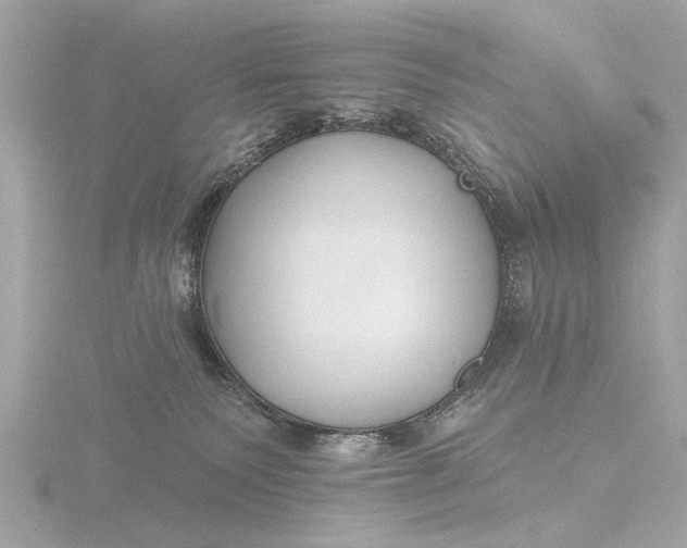 X0000116450135200912221551