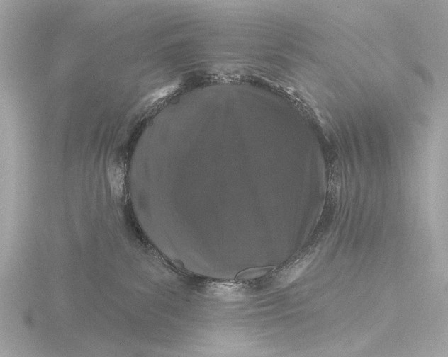 X0000116450139200912221551