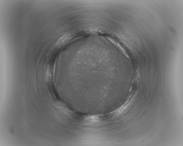 X0000116450140200912221551