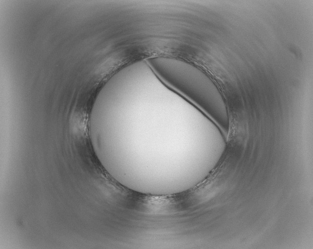 X0000116450141200912221551