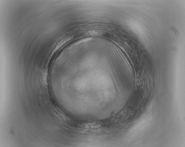 X0000116450146200912221551