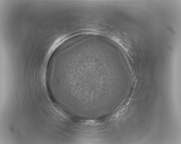 X0000116450151200912221551