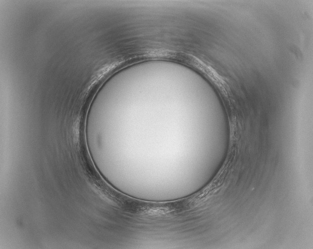 X0000116450155200912221551