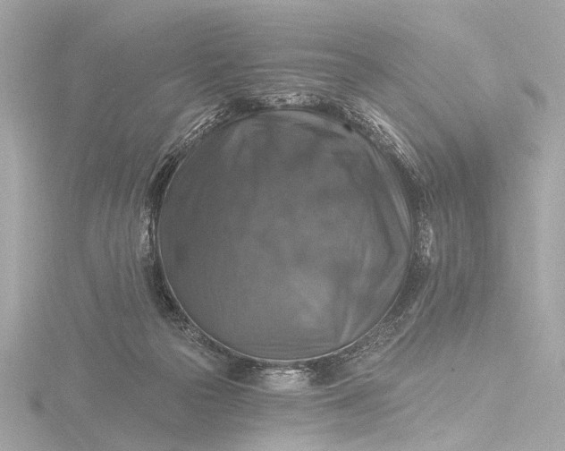 X0000116450169200912221551