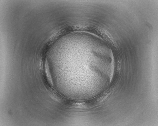 X0000116450173200912221551