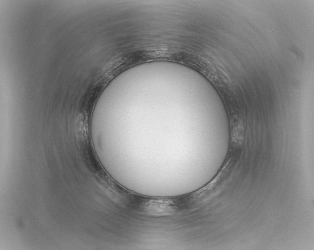 X0000116450179200912221551