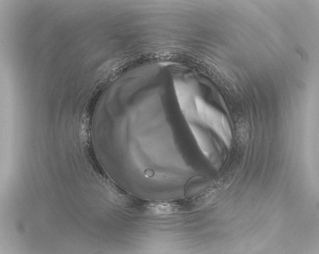 X0000116450181200912221551