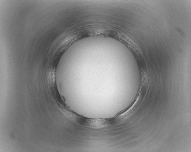 X0000116450191200912221551