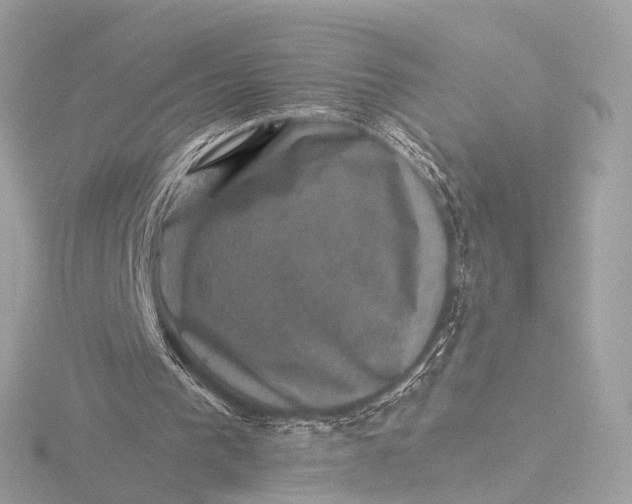 X0000116450193200912221551