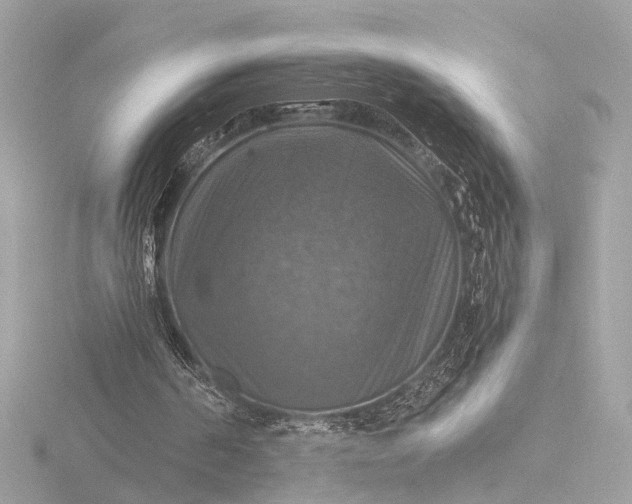 X0000116450194200912221551