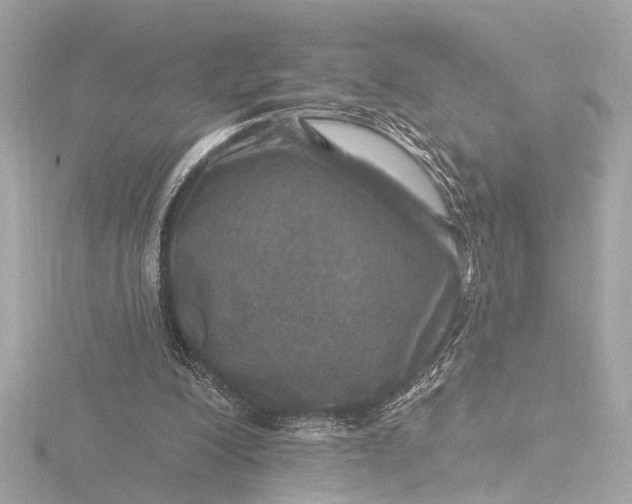 X0000116450200200912221551