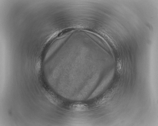 X0000116450208200912221550