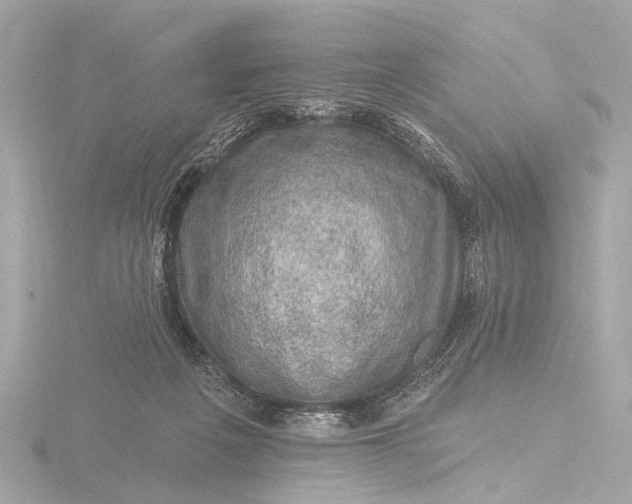 X0000116450217200912221550