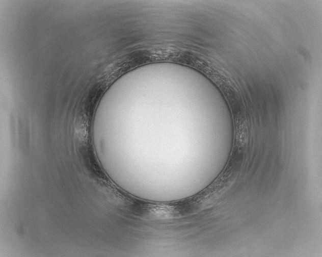 X0000116450226200912221550